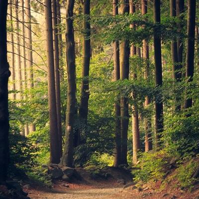 开元棋棋牌388ccvod