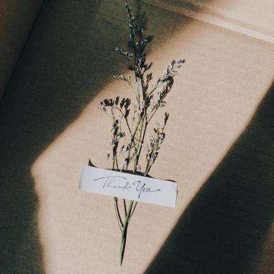 一码一肖100准资料应用手机app下载截图