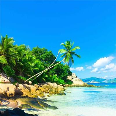 中欧官方体育app下载