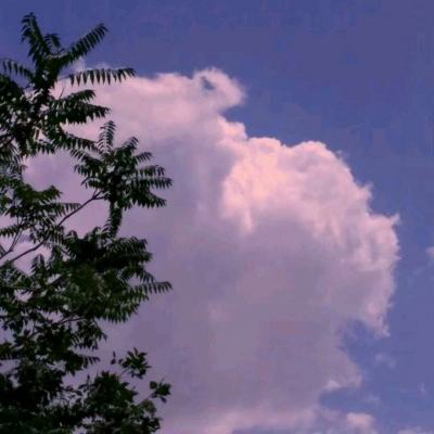 百人牛牛游戏手机app下载