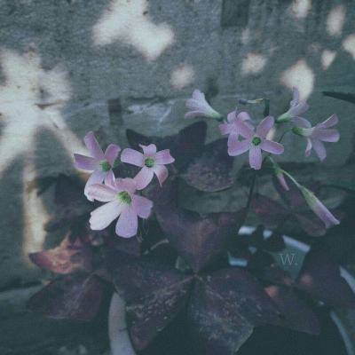 江南体育app下载下载手机版